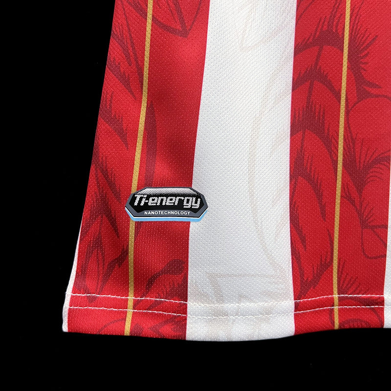 CAMISOLA SHEFFIELD EDIÇÃO ESPECIAL l 23/24 homem