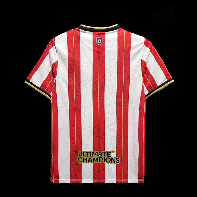 CAMISOLA SHEFFIELD EDIÇÃO ESPECIAL l 23/24 homem