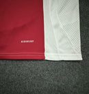 CAMISOLA AJAX I 24/25 homem