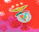 CAMISOLA BENFICA PRÉ JOGO I 26/27 - HOMEM