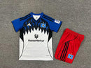 CAMISOLA HAMBURGO I 2526 CONJUNTO INFANTIL  KIT COMPLETO ADIDAS