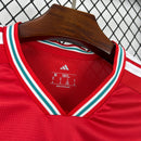 CAMISOLA PAÍS DE GALES PRINCIPAL 26/27 COPA DO MUNDO 2026 - HOMEM