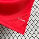 CAMISOLA PAÍS DE GALES PRINCIPAL 26/27 COPA DO MUNDO 2026 - HOMEM