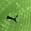 CAMISOLA PORTUGAL GUARDA REDES PUMA 25/26 homem - VERDE