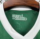 Camisola Palmeiras I 25/26 Homem – Equipamento Principal Verde