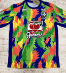 CAMISOLA BRASIL TREINO 25/26