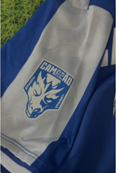 PATCH  BADGE - FC PORTO CAMPEÃO 2025 2026 - DRAGÃO