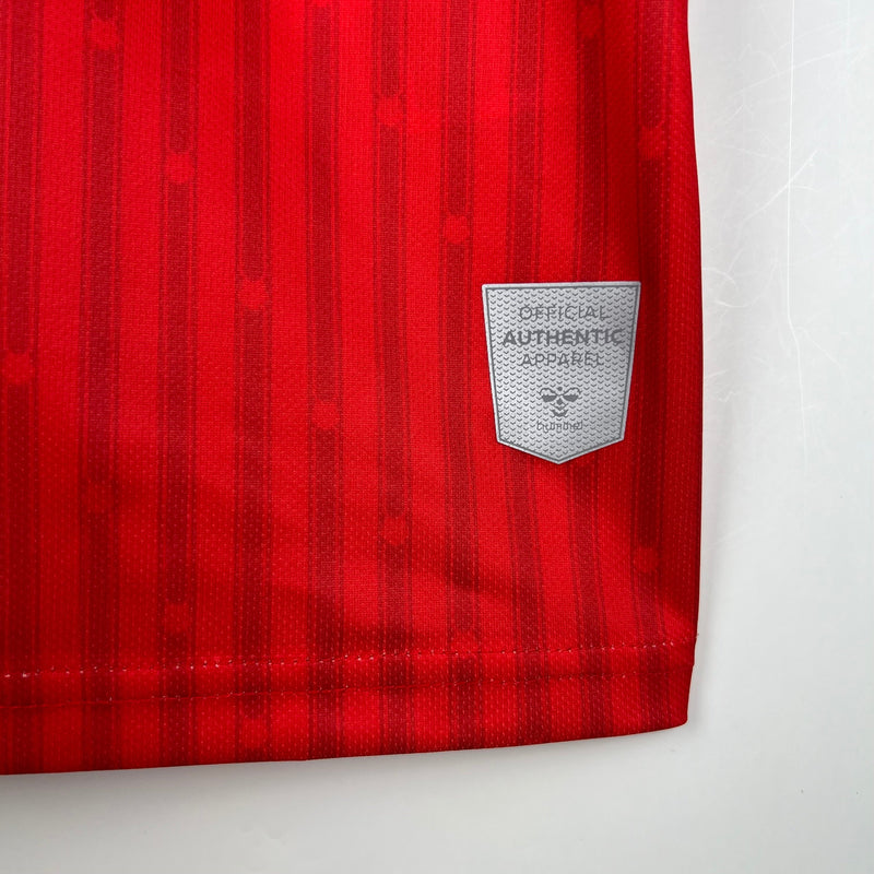 CAMISOLA SOUTHAMPTON I 23/24 homem